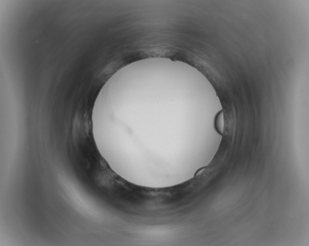X0000111420334200908031310