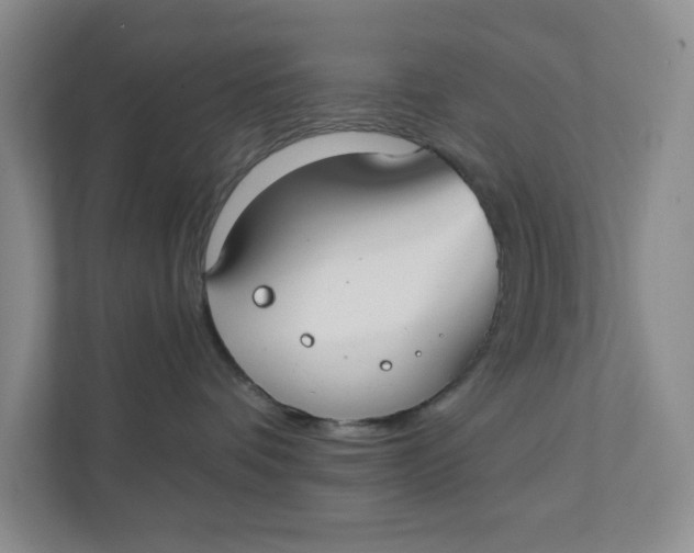 X0000111420336200908031310