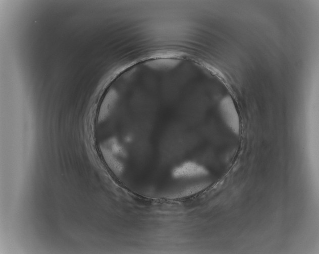 X0000111420337200908031309