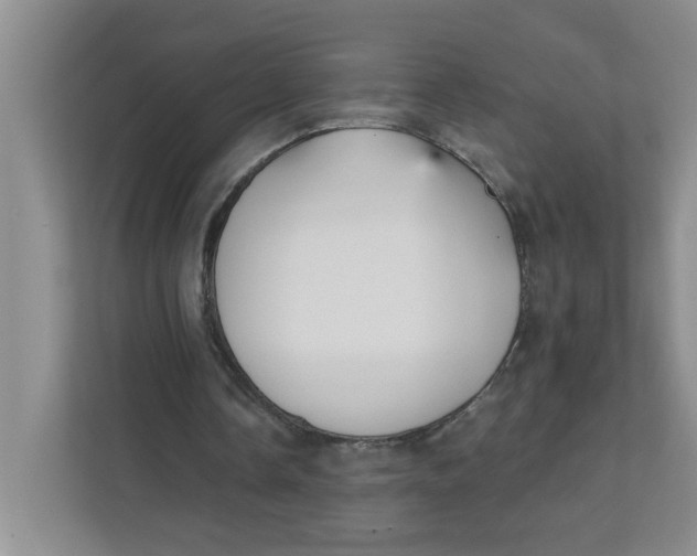 X0000111420338200908031309