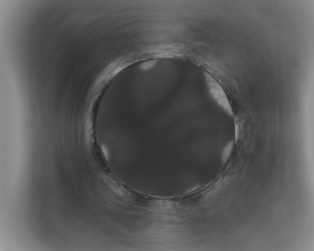 X0000111420339200908031309