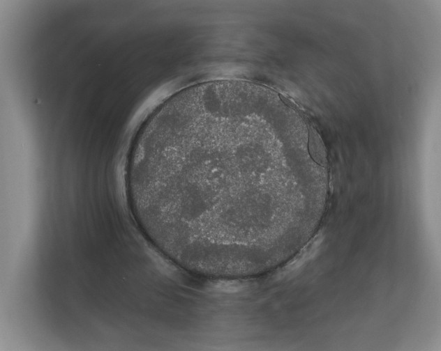 X0000111420341200908031309
