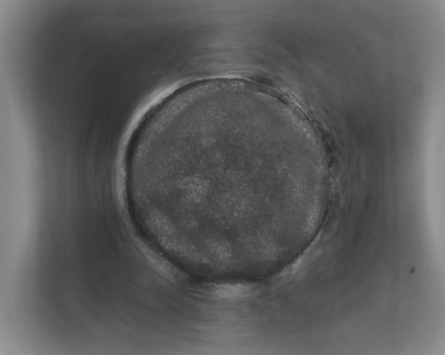 X0000111420342200908031309