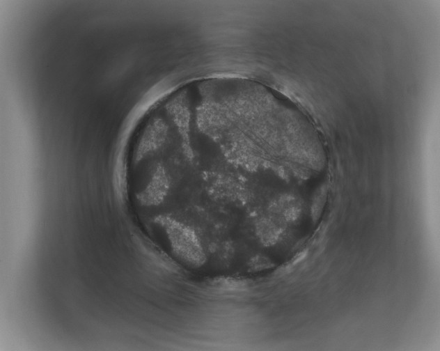 X0000111420343200908031309