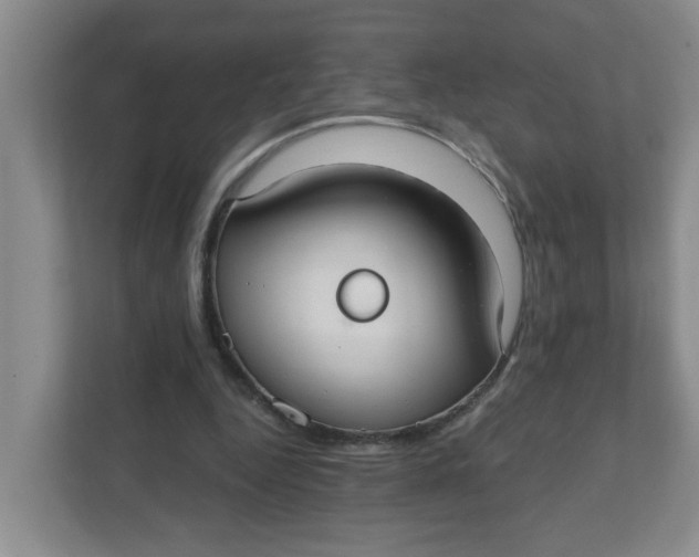 X0000111420344200908031309