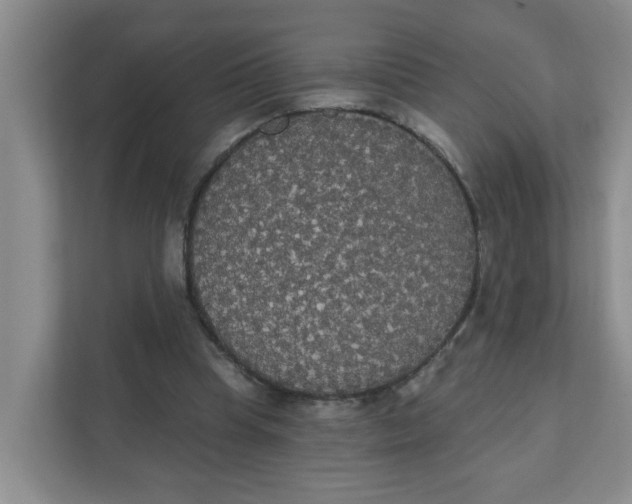 X0000111420345200908031309