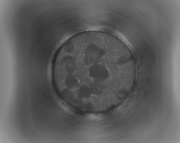 X0000111420346200908031309
