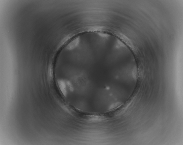 X0000111420347200908031309