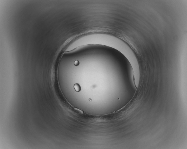 X0000111420348200908031309