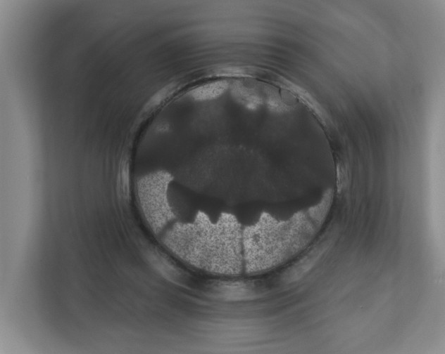 X0000111420349200908031309