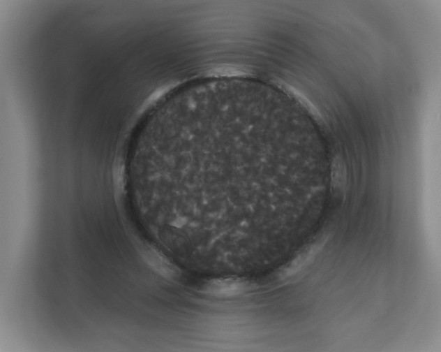 X0000111420351200908031309