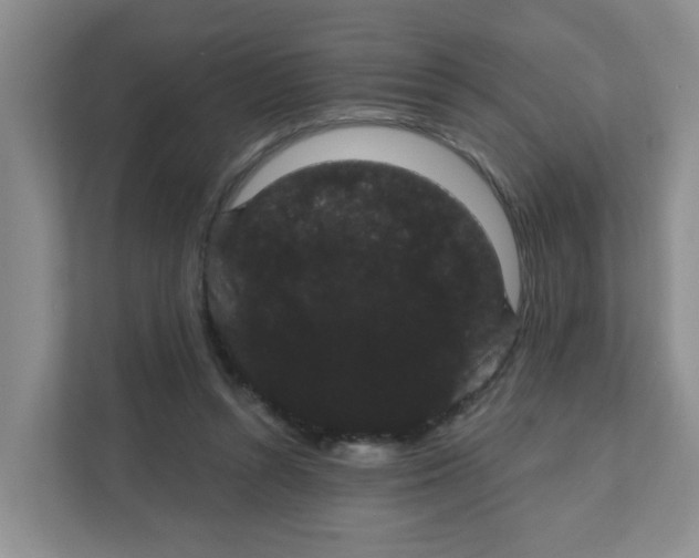 X0000111420352200908031309