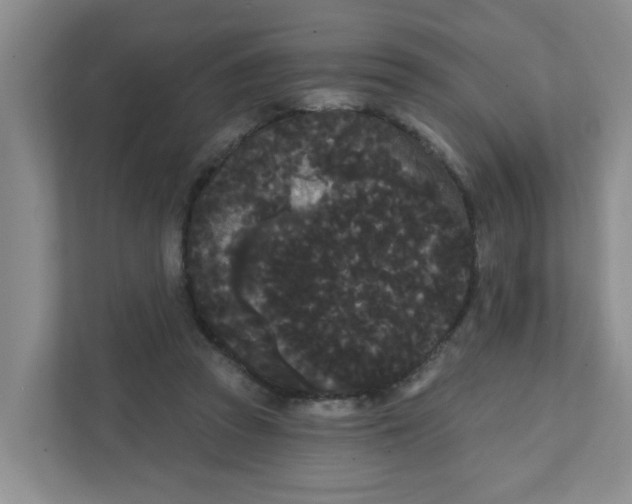 X0000111420353200908031309