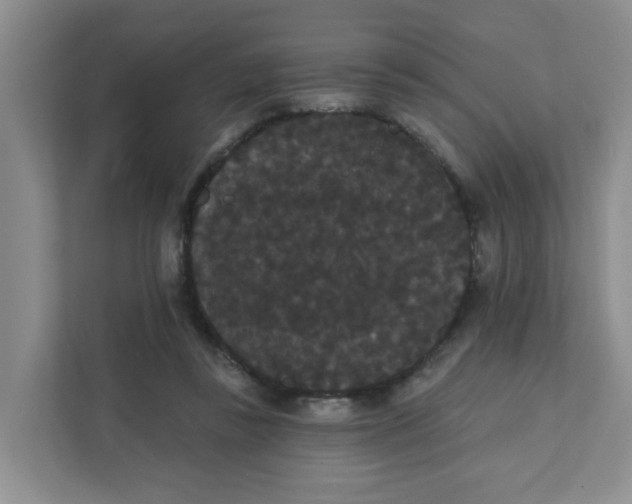 X0000111420355200908031309