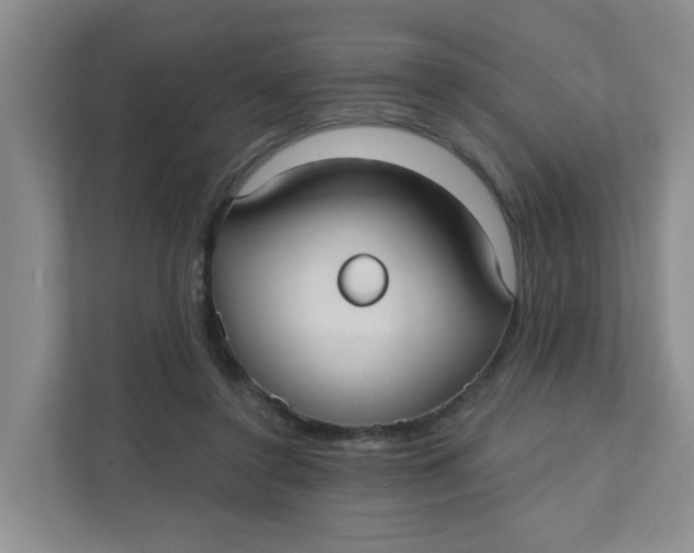 X0000111420356200908031309