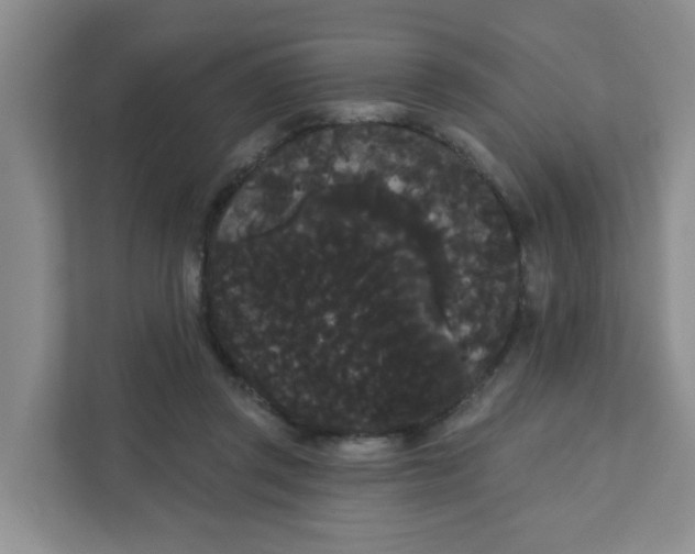 X0000111420357200908031309