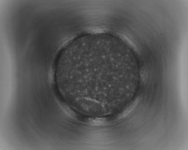 X0000111420359200908031309