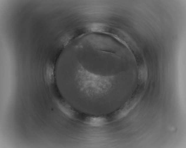 X0000111420360200908031309