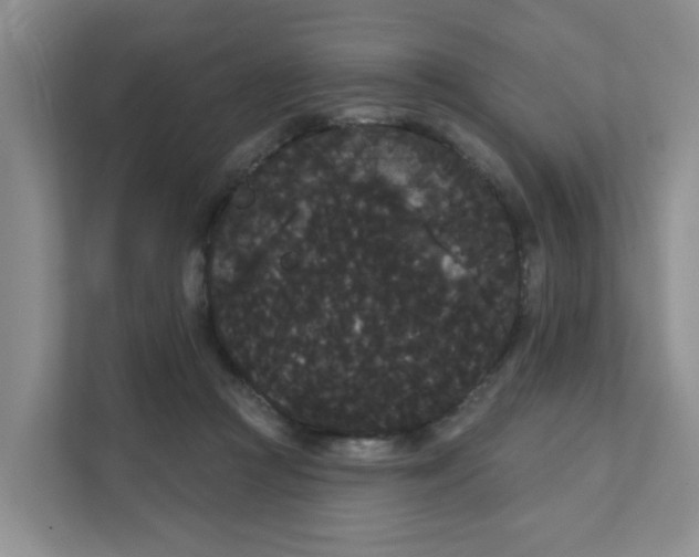 X0000111420361200908031309