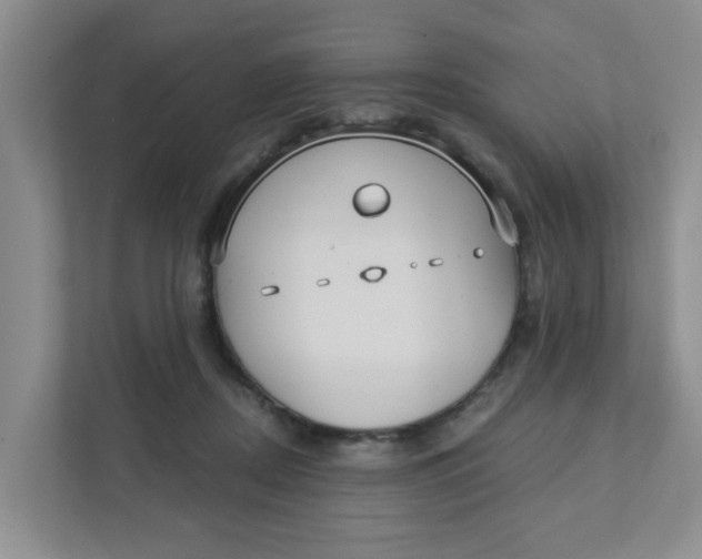 X0000111420362200908031309
