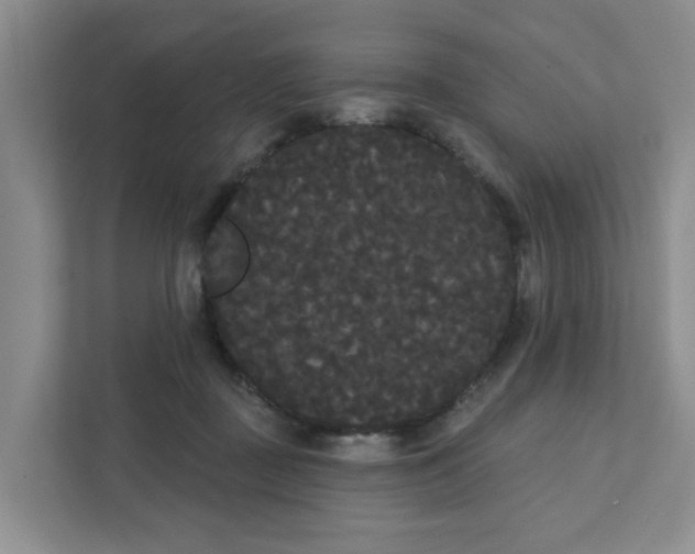 X0000111420363200908031309