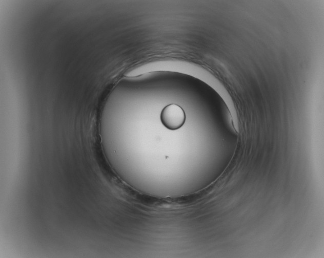 X0000111420364200908031309