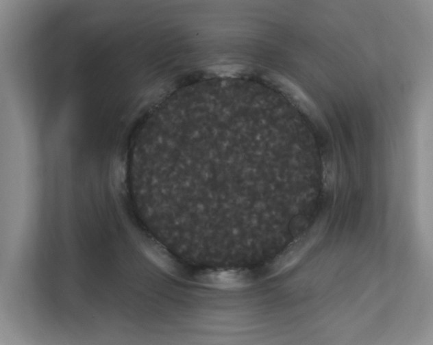 X0000111420365200908031309