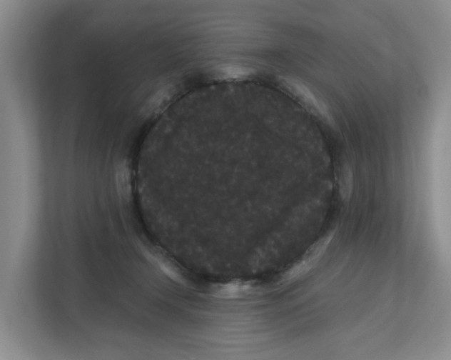X0000111420366200908031309