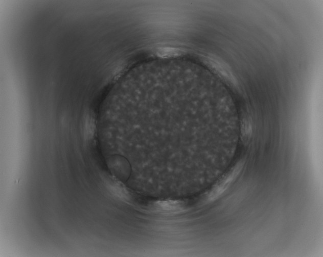 X0000111420367200908031309