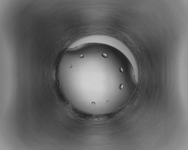 X0000111420368200908031309