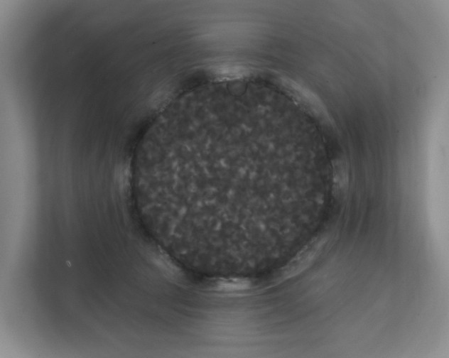 X0000111420369200908031309