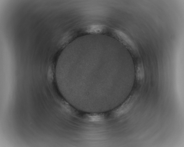 X0000111420370200908031309