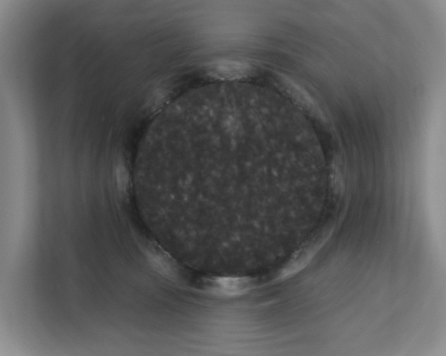 X0000111420371200908031310