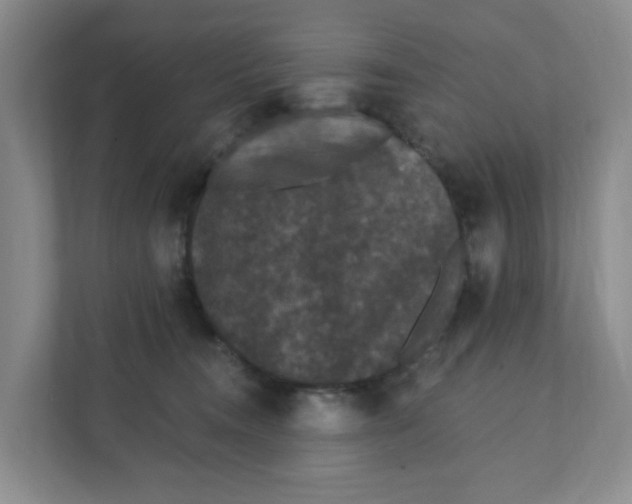 X0000111420372200908031310