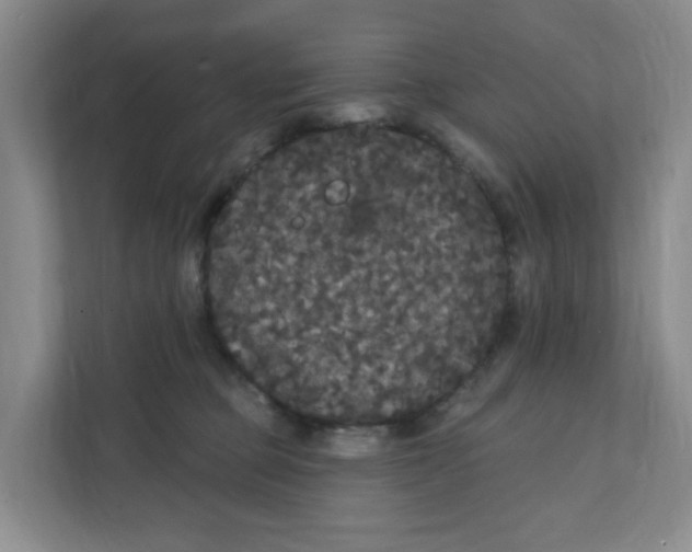 X0000111420373200908031310