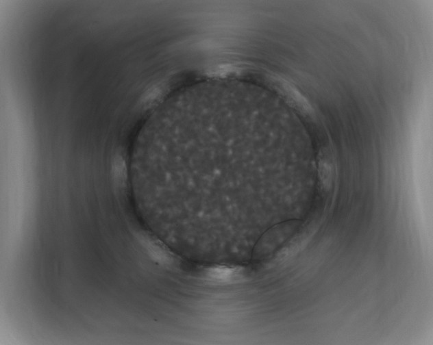X0000111420375200908031310