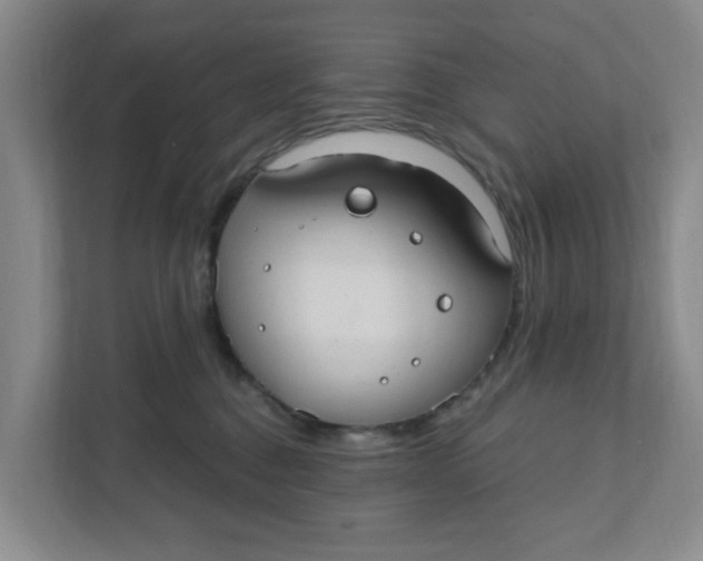 X0000111420376200908031310