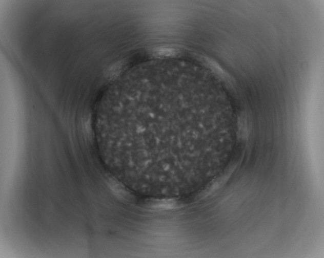 X0000111420377200908031310