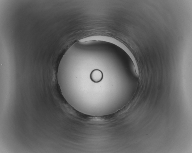 X0000111420380200908031310