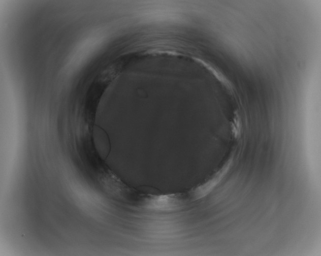 X0000111420382200908031310