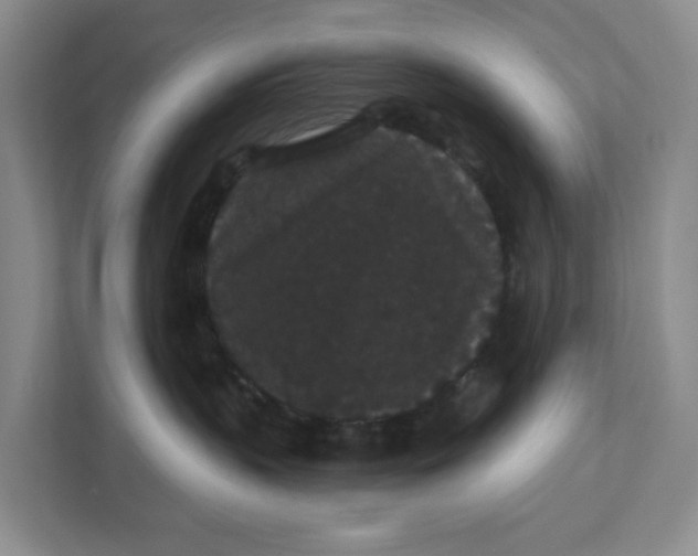 X0000111420383200908031310