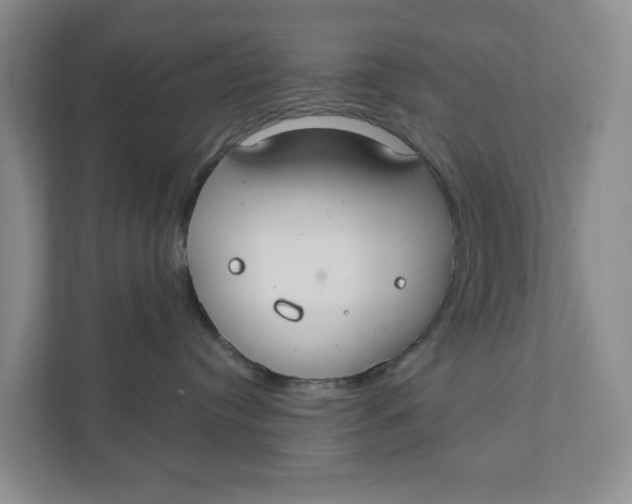 X0000111420384200908031310