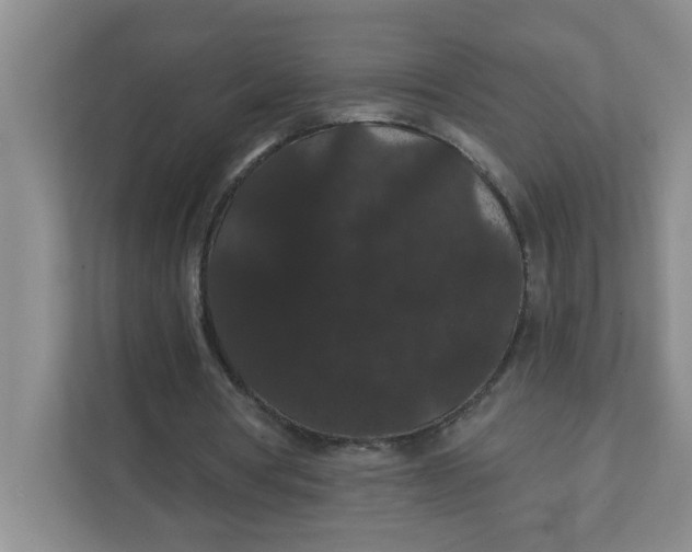X0000111420386200908031309