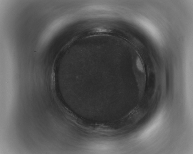 X0000111420387200908031309