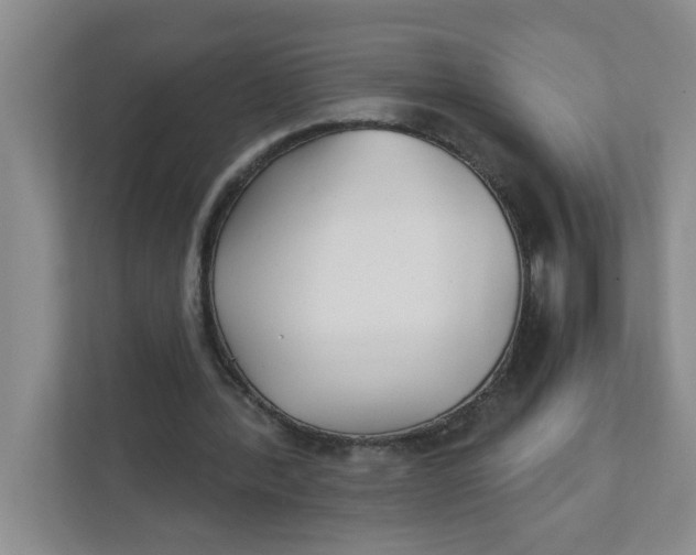 X0000111420388200908031309