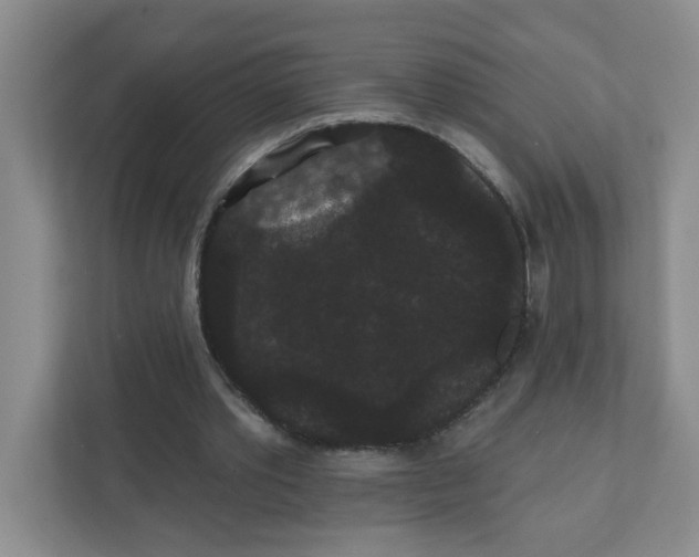 X0000111420389200908031309