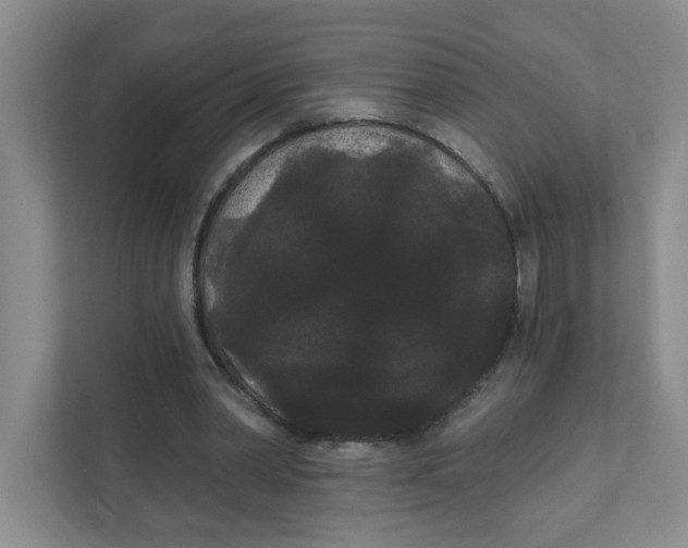 X0000111420390200908031309