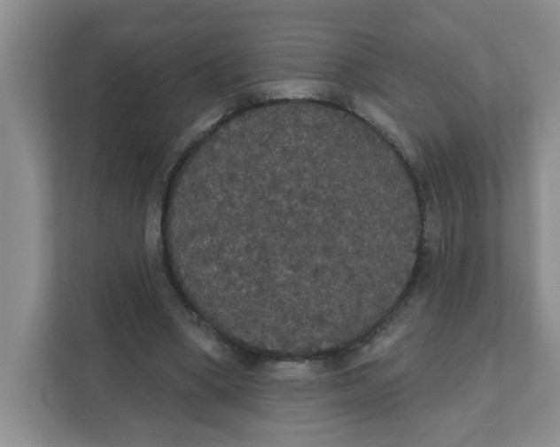 X0000111420394200908031309