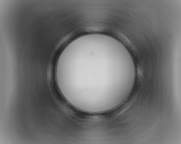 X0000111420396200908031309