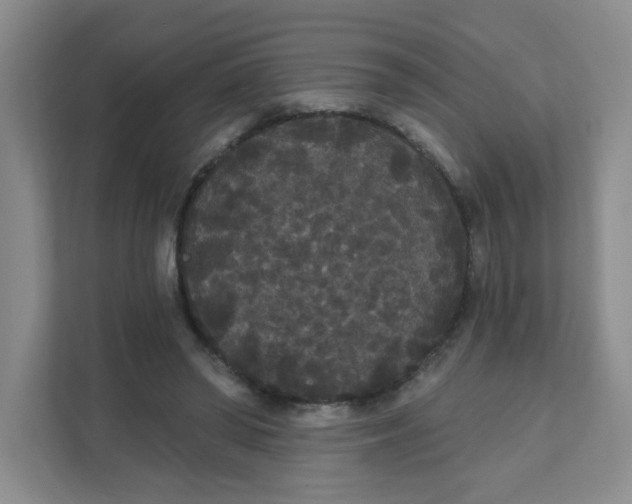 X0000111420398200908031309
